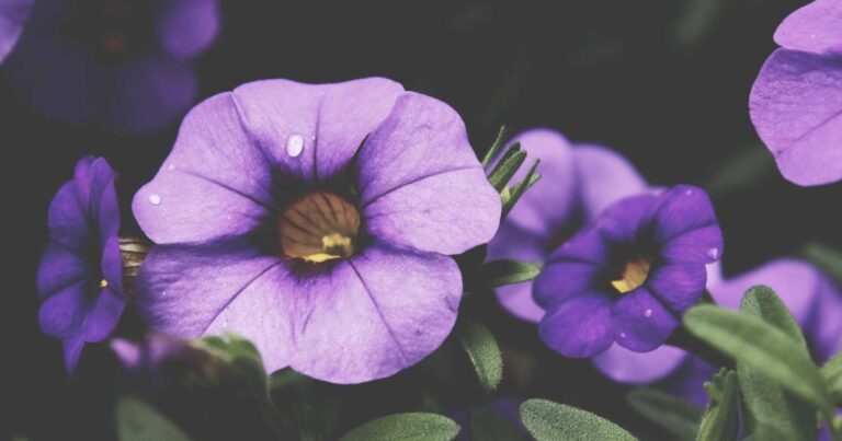 Soulful Quotes About Life for a Better Life
