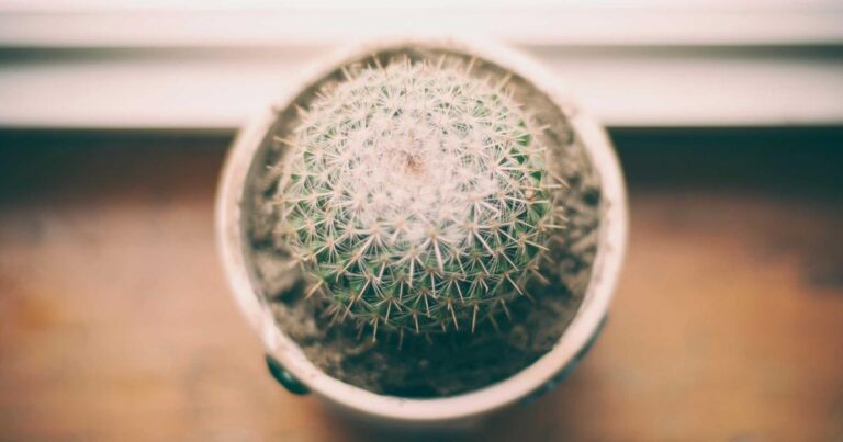 Meaningful Self Improvement Quotes for Personal Growth
