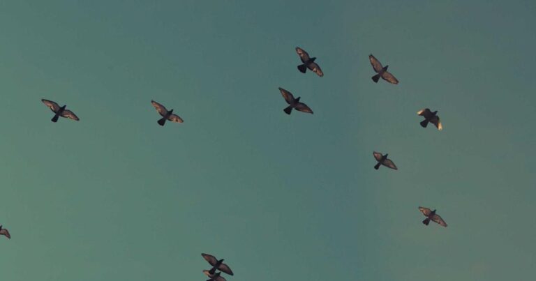 Soulful Self Improvement Quotes to Keep You Going