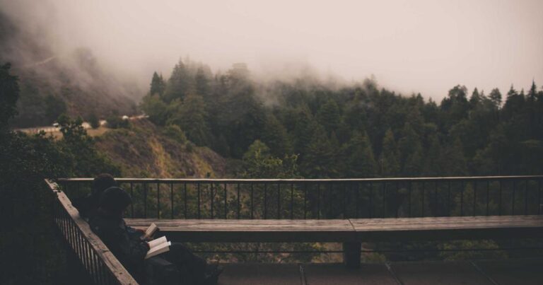 Top Self Improvement Quotes for Tough Days