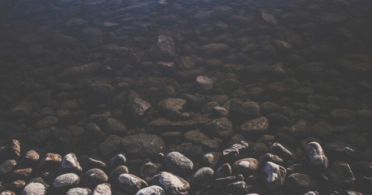 Powerful Discipline Quotes for a Better Life