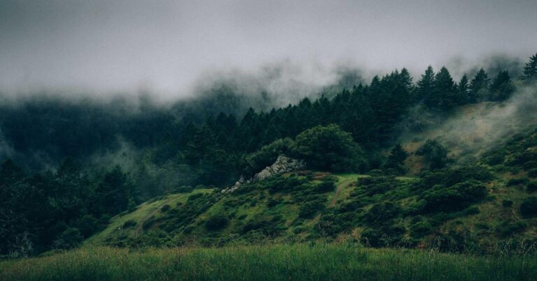 Motivational Success Quotes to Start Your Morning Right