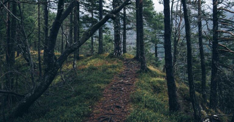 Ultimate Discipline Quotes for Athletes