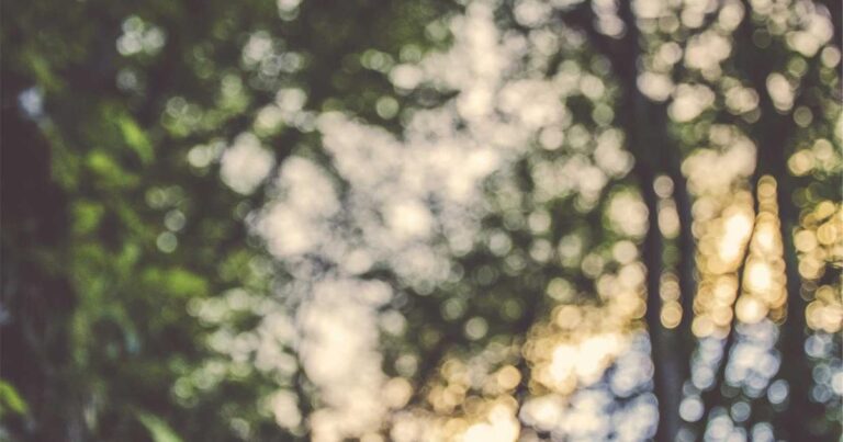 Warm Quotes About Life for Hard Times