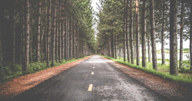 Pure Quotes About Life for Instagram Captions