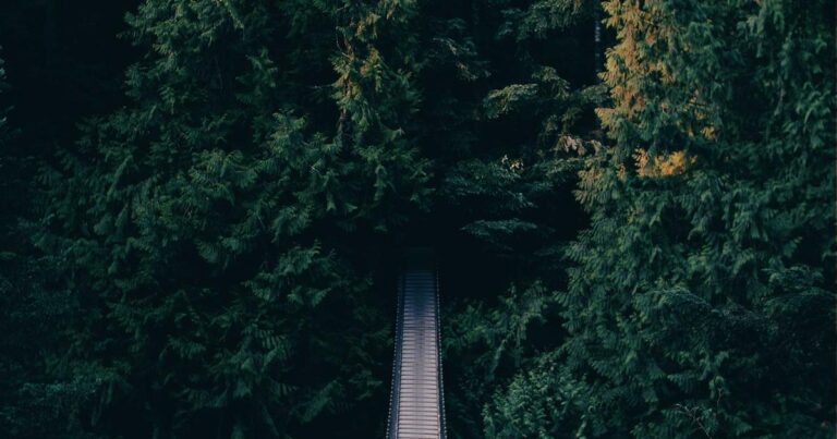 Best Success Quotes to Keep You Going