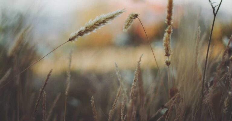 Best Quotes About Life for Self Growth