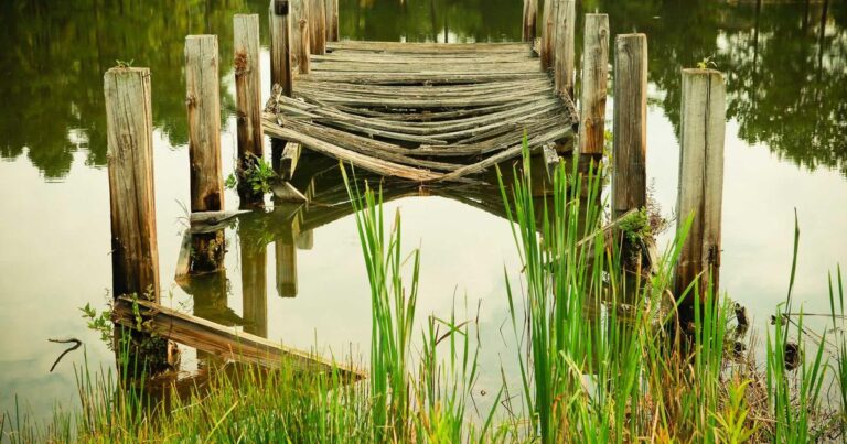 Focused Quotes For Gym Girls for Everyday Life