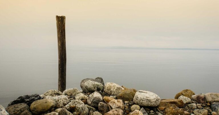 Top Aesthetic Deep Quotes About the Ocean