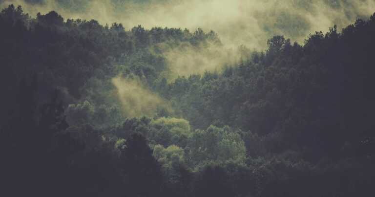 Inspiring Quotes About Moving On From A Relationship for Every Season
