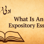 What Is An Expository Essay 46 What Is An Expository Essay