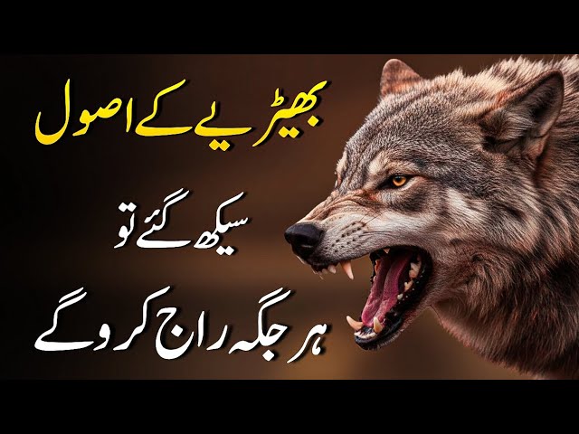 WOLF MENTALITY 8 Rules Of Power | Power Of Wolf Rules 13 WOLF MENTALITY 8 Rules Of Power | Power Of Wolf Rules
