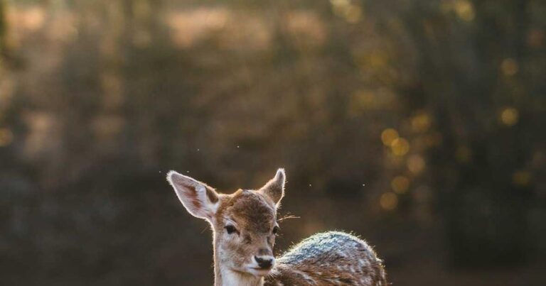 Life-Changing Quotes About Life for Friends