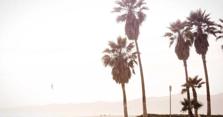 Vibrant Quotes About Life for Hard Times