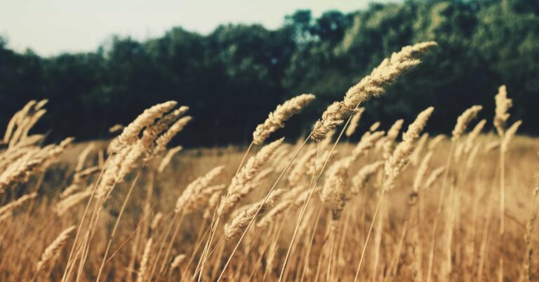 Bold Quotes About Life to Keep You Going