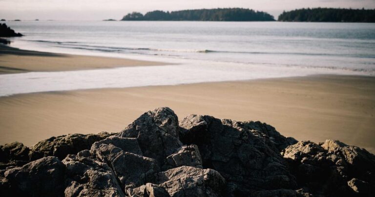 Ultimate Quotes About Life for Self Growth