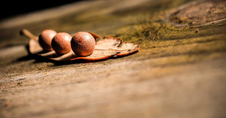 Short Discipline Quotes for Tough Days