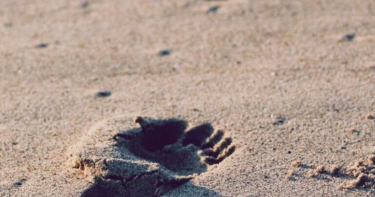 Warm Quotes About Life for Reflection