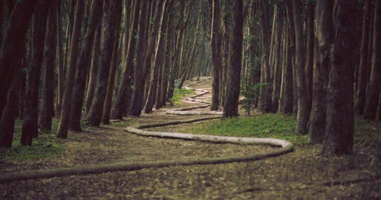 Wise Self Improvement Quotes for Success