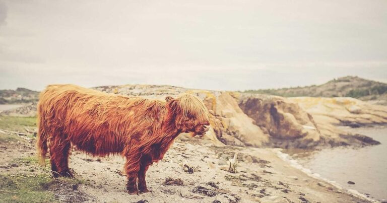 Thoughtful Quotes About Life for Tough Days