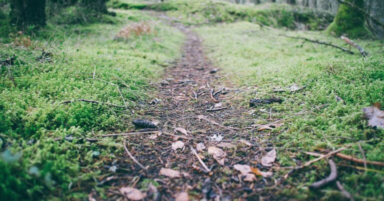 Meaningful Self Improvement Quotes for a Better Life