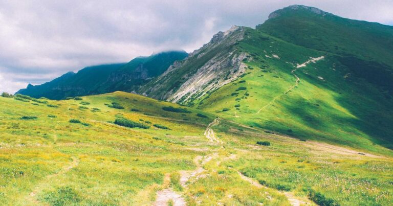 Handpicked Self Improvement Quotes for 2026