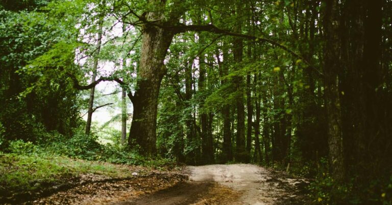 Timeless Success Quotes for Entrepreneurs