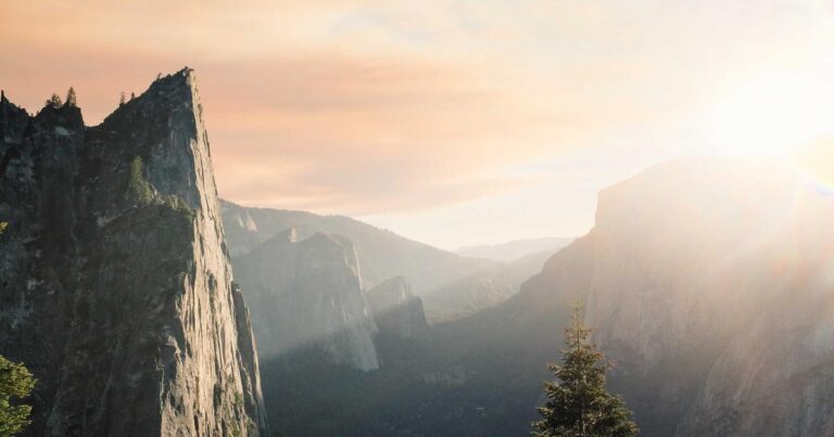 Honest Quotes About Life for Hard Times
