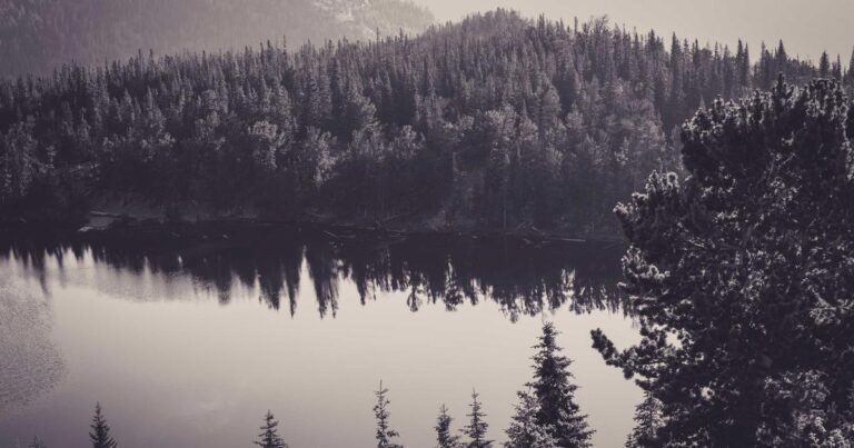 Inspiring Quotes About Life for Instagram Captions