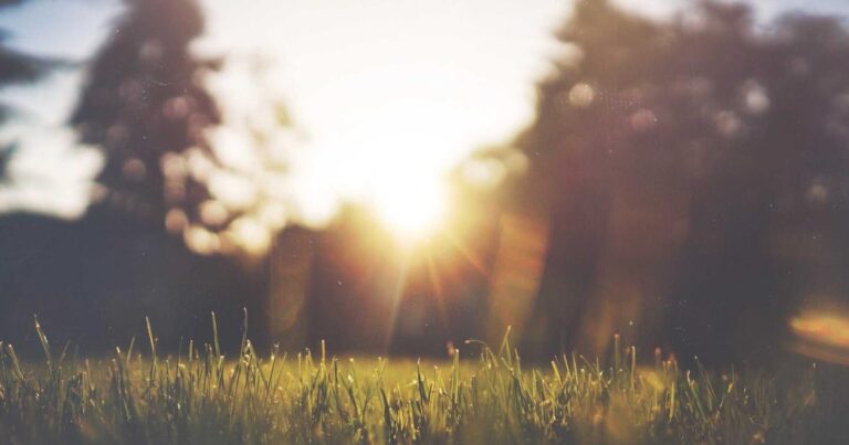 Life-Changing Self Improvement Quotes for Tough Days