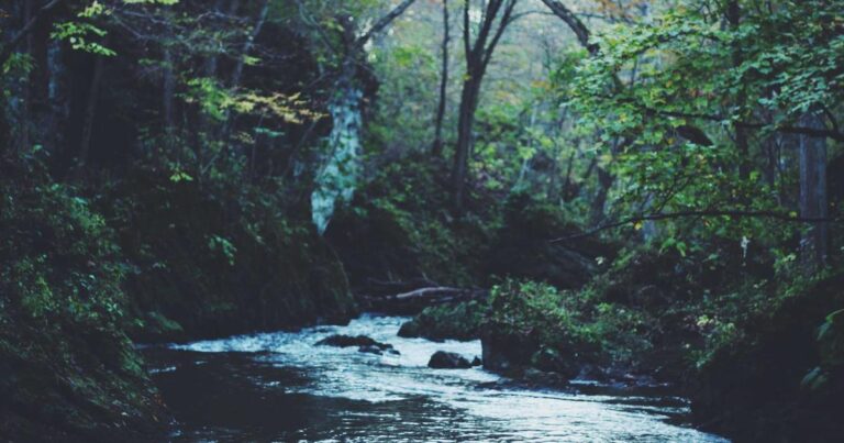 Calm Quotes About Life to Start Your Morning Right