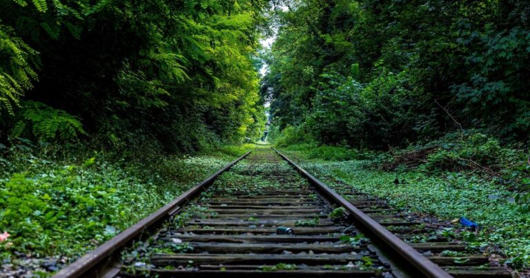 Hopeful Quotes About Life for Self Growth