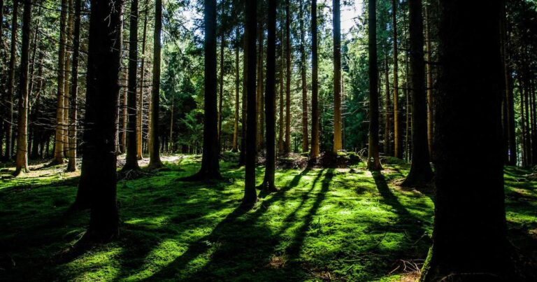 Classic Quotes About Life for Self Growth