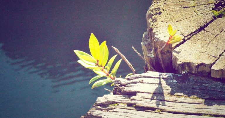 Motivational Quotes About Life for Hard Times