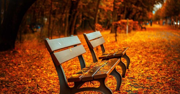 Golden Quotes About Life for Reflection