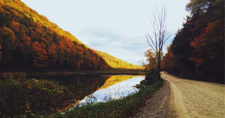 Hopeful Quotes About Life for Reflection