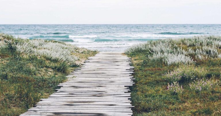 Uplifting Success Quotes to Start Your Morning Right