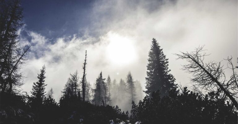 Radiant Quotes About Life About Happiness