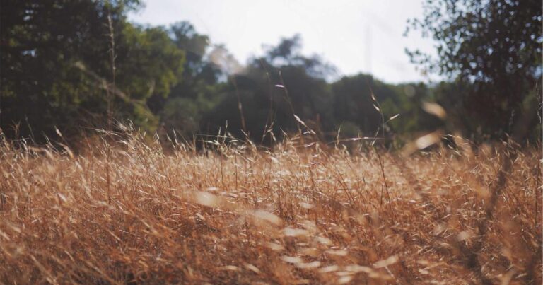 Bright Quotes About Life to Inspire Your Day