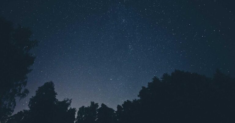 Life-Changing Self Improvement Quotes to Keep You Going