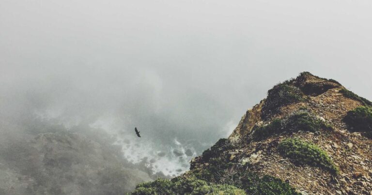 Grounded Quotes About Life for Moving Forward