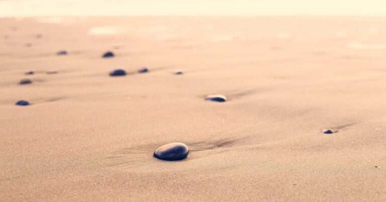 Honest Discipline Quotes to Start Your Morning Right
