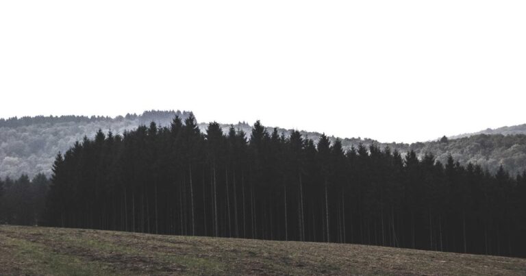 Meaningful Self Improvement Quotes for Instagram Captions