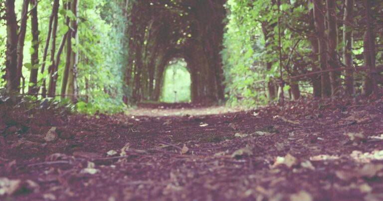 Energizing Quotes About Life for Moving Forward