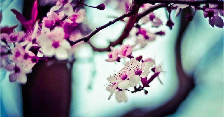 Energizing Quotes About Life for a Better Life