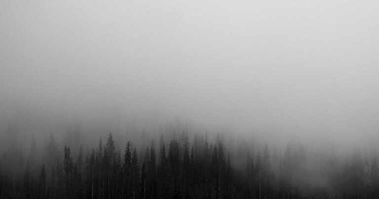Curated Quotes About Life for Friends