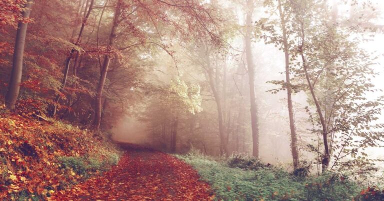 Vibrant Quotes About Life to Keep You Going