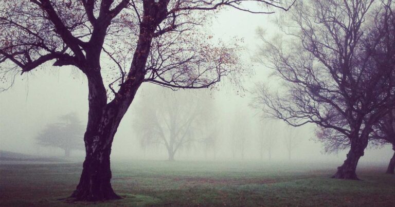 Warm Self Improvement Quotes to Start Your Morning Right