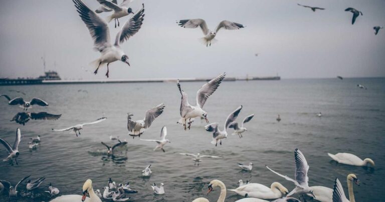 Real Quotes For Love for Instagram Captions