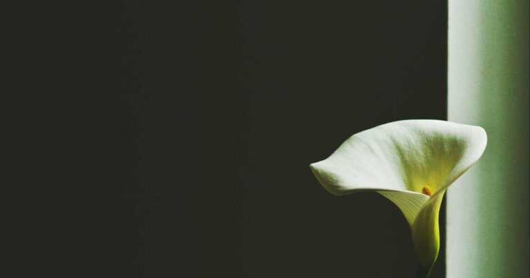 Bold Quotes For Love for Boyfriend